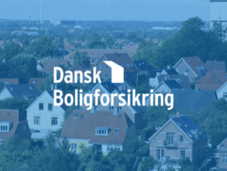 Ejerskifteforsikring og sælgeransvarsforsikring fra Dansk Boligforsikring.